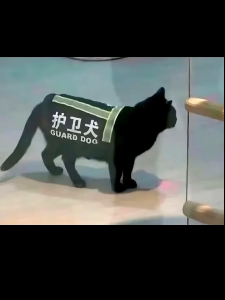 gb四爱网调烈性男玩家